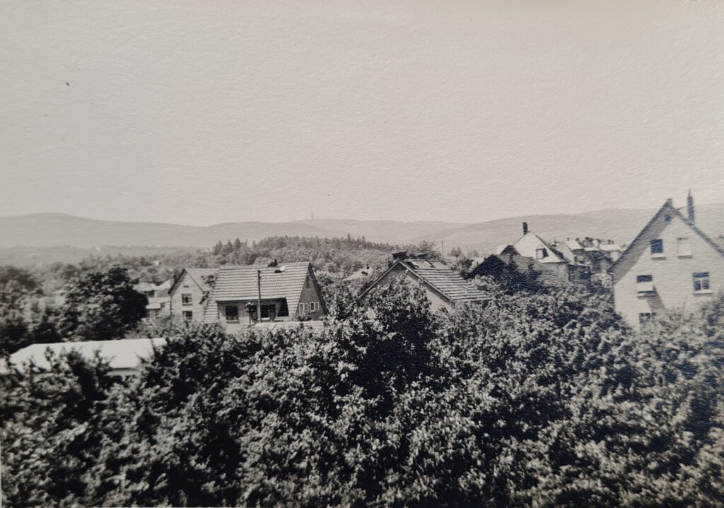 Blick hinauf zum Taunus